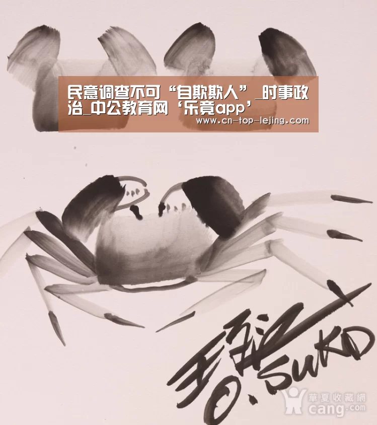 乐竟体育app