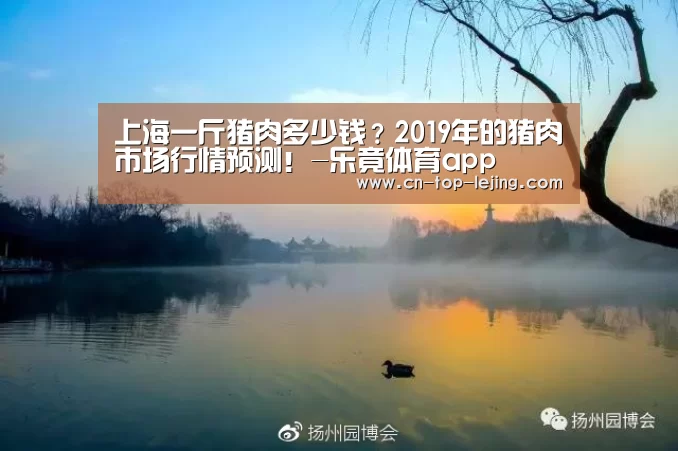 上海一斤猪肉多少钱?2019年的猪肉市场行情预测!-乐竟体育app(图1) 乐竟app