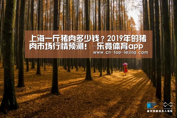 上海一斤猪肉多少钱?2019年的猪肉市场行情预测!-乐竟体育app(图2) 乐竟体育官网