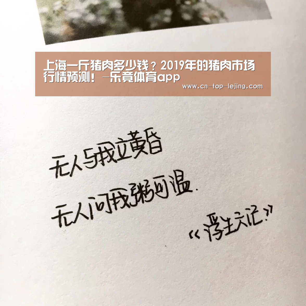 上海一斤猪肉多少钱?2019年的猪肉市场行情预测!-乐竟体育app(图3) 乐竟app