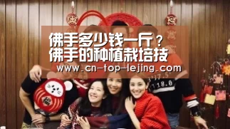 乐竟体育官网