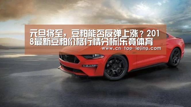 乐竟体育官方