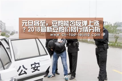 乐竟体育app