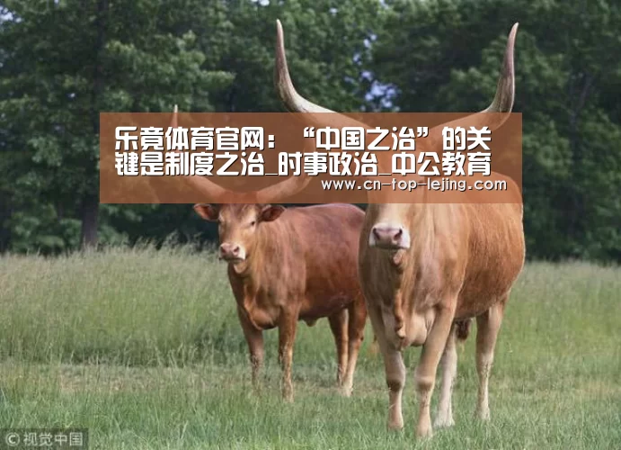 乐竟体育官网